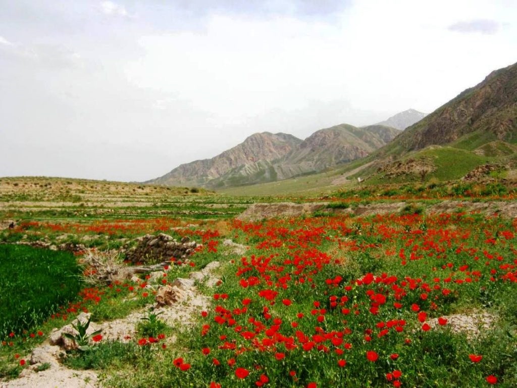 گردشگری،دهگردی،استند