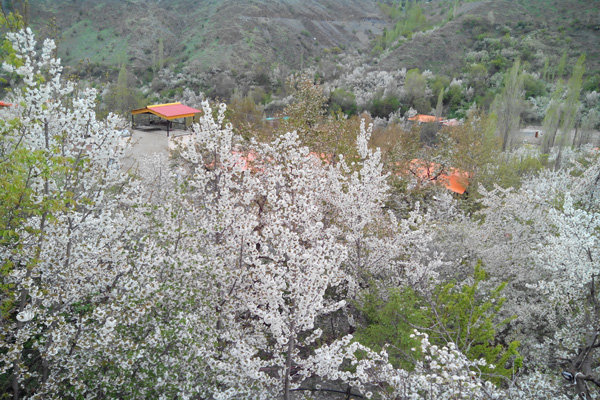 گردشگری،دهگردی،زشک