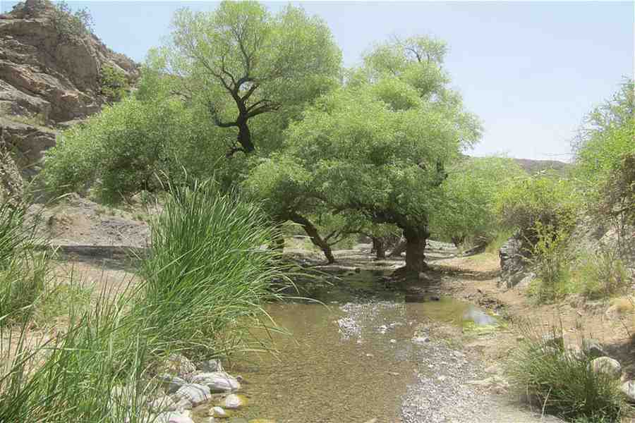 گردشگری،دهگردی،گرماب