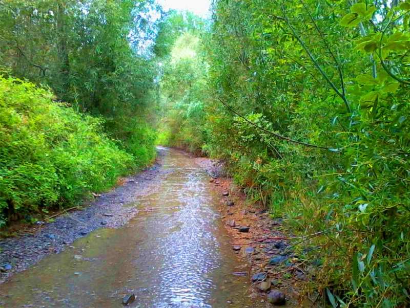 گردشگری،دهگردی،حصار-مشهد