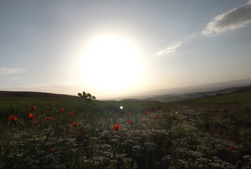 گردشگری،دهگردی،قجور