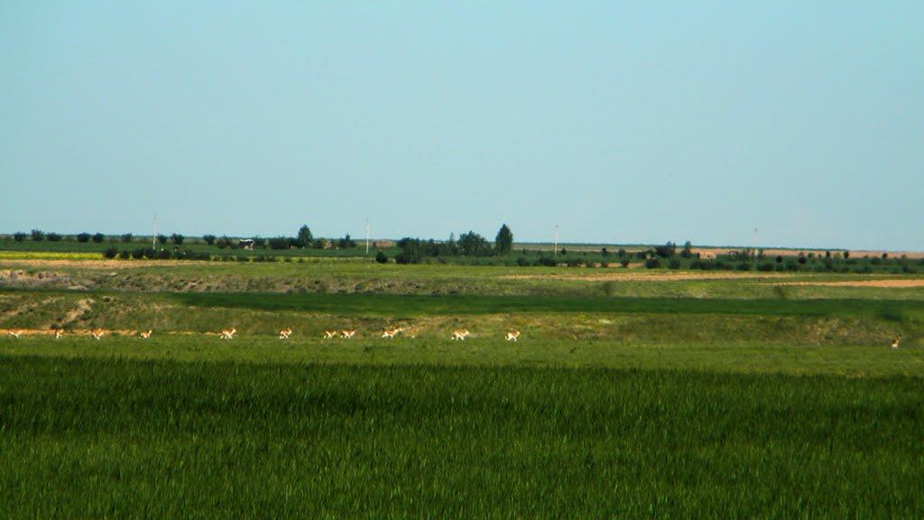 گردشگری،دهگردی،ماری