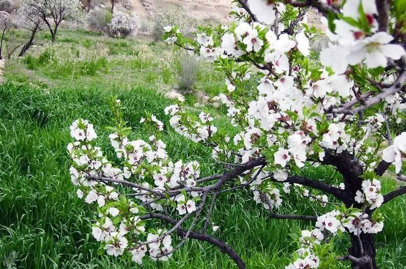 گردشگری،دهگردی،نوایگان