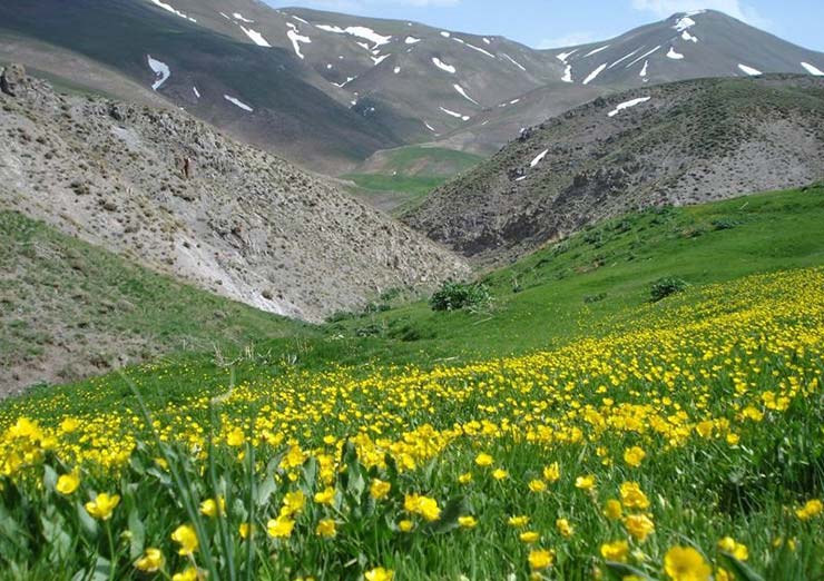 گردشگری،دهگردی،اردها